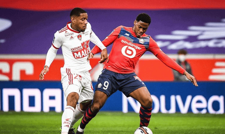 见证她们书 见证她们书