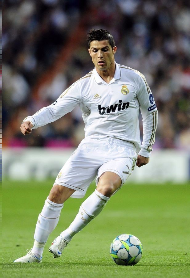 成功包揽了 成功包揽了